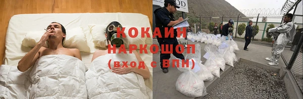 Альфа ПВП Белокуриха
